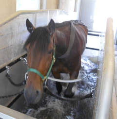 Tentacles vattenband-2